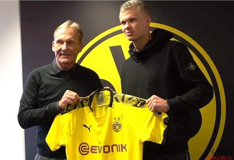 帕柳卡：门将职责是扑救，多纳鲁马、大马丁和裤袜是现役最强（帕柳卡：门将首要任务是扑救，现役最强当属多纳鲁马、大马丁与库尔图瓦）